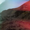 揺らぎ / STILL DREAMING, STILL DEAFENING (LP) レコード アナログ