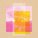 Morningwhim / Most Of the Sun Shines (7") モーニングウィム レコード アナログ