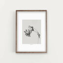 【スーパーSALE限定プライス】SIMPLISTIC LAYERS | GREY BLOOM NEGATIVE (APS3) | アートプリント/ポスター (3...
