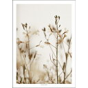 SIMPLISTIC LAYERS | Roquette (APS48) | アートプリント/ポスター (30x40cm) 北欧 インテリア おしゃれ