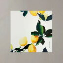 【SALE セール】a good view | レモン (yellow) | 30x30cm 北欧 アートポスター おしゃれ シンプル リビング 一柳綾乃