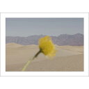 THE POSTER CLUB x Nicole Mason | Desert Mirage | 50x70cm アートプリント/アートポスター 北欧 デンマー...