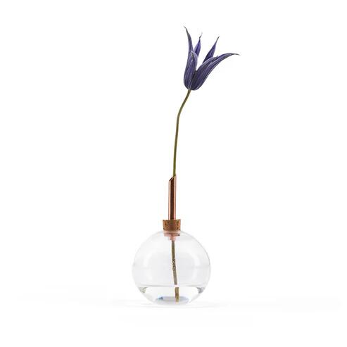 SCANDINAVIAN FORM | Glasilium Vase (transparent) D65H110mm | ̲ ...