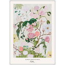 Morais Artworks | Jardin Botanique | A5 アートポスター 北欧 ボタニカル フラワーアート メール便送料無料