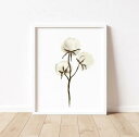 COLOR WATERCOLOR | Cotton Bolls #5 | A4 アートプリント/ポスター メール便送料無料 北欧 シンプル おしゃれ