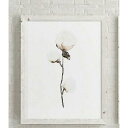 COLOR WATERCOLOR | Cotton Bolls #6 | A4 アートプリント/ポスター メール便送料無料 北欧 シンプル おしゃれ