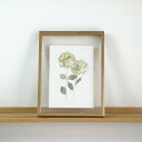 COLOR WATERCOLOR | Hydrangea Flowers Art Print #7 | A4 アートプリント/ポスター メール便送料無料 北欧 ...