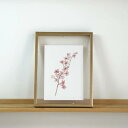COLOR WATERCOLOR | Cherry Blossom #3 (pink) | A4 アートプリント/ポスター メール便送料無料 北欧 シンプル お...
