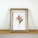 COLOR WATERCOLOR | Floral #1 | A4 アートプリント/ポスター メール便送料無料 北欧 シンプル おしゃれ