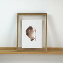 COLOR WATERCOLOR | Birds Nest Art Print #3 | A4 アートプリント/ポスター メール便送料無料 北欧 シンプル おし...