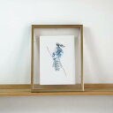 COLOR WATERCOLOR | Blue Jay #1 | A4 アートプリント/ポスター メール便送料無料 北欧 シンプル おしゃれ