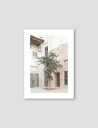 NOUROM | DUBAI OLD TOWN LONE TREE, UAE2020 | A3 A[gvg/|X^[ k ~j} CeA 