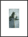 JORGEN HANSSON | The Pine no.3 | アートプリント/アートポスター (30x40cm) 送料無料 北欧 スウェーデン パイン 松