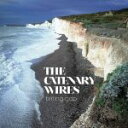 THE CATENARY WIRES / BIRLING GAP (LP) カテナリー・ワイヤーズ AMELIA FLETCHER アメリア・フレッチャー RO...