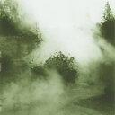 MEGAN SIEBE / SWAYING STEADY (LP) ミーガン・シーベ レコード アナログ