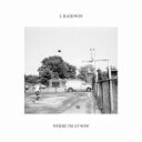 S. RAEKWON / WHERE IfM AT NOW (LTD / CUSTARD COLOR VINYL) (LP)