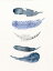 THE CLAY PLAY | WATERCOLOR BIRD FEATHERS (blue/navy) (no.378) | A4 ȥץ/ݥפ򸫤