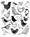 【SALE セール】ELOISE RENOUF | BIRDS | A3 アートプリント/ポスター 【北欧 シンプル おしゃれ】