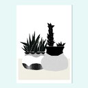 【SALE セール】10antemeridiem | SUCCULENTS - BOTANICAL ART PRINT - PLANTS | A4 アートプリン...