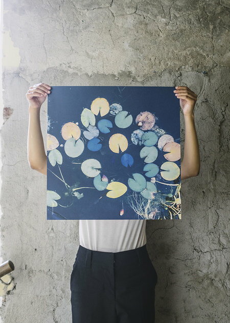 【SALE セール】FINE LITTLE DAY | WATER LILIES POSTER | アートプリント/ポスター 50x50cm 北欧 インテリア デザイン リビング ファインリトルデイ スウェーデン お洒落 アートパネル アート…