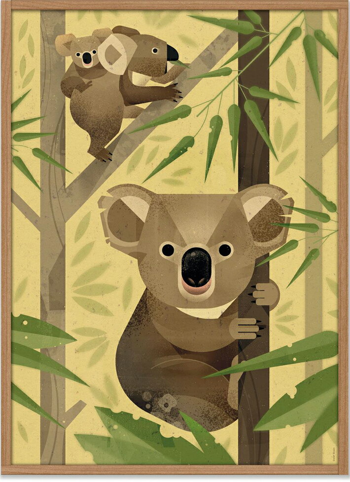 【SALE セール】HUMAN EMPIRE | DIETER BRAUN | KOALA POSTER | ポスター 50x70cm 