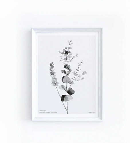 MICUSH | HOUSEPLANT WALL ART PRINT (AP08) | アートプリント/ポスター (30x40cm)