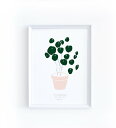 MICUSH PILEA PEPEROMIOIDES ART PRINT (AP038) アートプリント/ポスター (30x40cm)