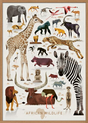 【SALE セール】HUMAN EMPIRE DIETER BRAUN AFRICAN WILDLIFE POSTER ポスター (50x70cm)