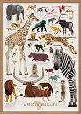 HUMAN EMPIRE | DIETER BRAUN | AFRICAN WILDLIFE POSTER | ポスター (50x70cm)