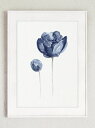 COLOR WATERCOLOR | Peony Watercolour Navy Flower #2 | A3 アートプリント/ポスター
