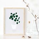 MICUSH PILEA PEPEROMIOIDES (CHINESE MONEY PLANT) ART PRINT (grey) アートプリント/ポスター (30x40cm)