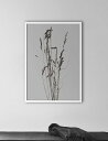 NOUROM | DRIED GRASS #1 | A3 アートプリント/ポスター【北欧 シンプル ミニマル インテリア おしゃれ】