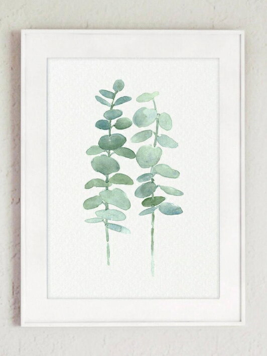 COLOR WATERCOLOR | Eucalyptus Canvas Fine Art Print #1 | A3 アートプリント/ポスター【北欧 シンプル おしゃれ ボタニカル】のサムネイル