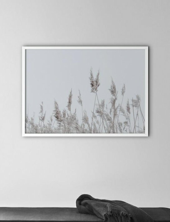 NOUROM | REEDS, DENMARK | アートプリント/ポスター (50x70cm)