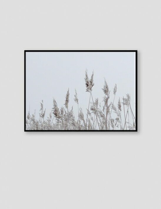 【SALE セール】NOUROM | REEDS, DENMARK | アートプリント/ポスター (50x70cm)【北欧 シンプル ミニマル インテリア おしゃれ】