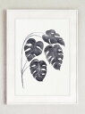 COLOR WATERCOLOR | Monstera Deliciosa Art Print #3 | A4 アートプリント/ポスター【メール便送料無料 北欧...