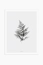 MICUSH | BLACK AND WHITE FERN ART PRINT | アートプリント/ポスター (30x40cm)【北欧 シンプル インテリア おしゃれ】