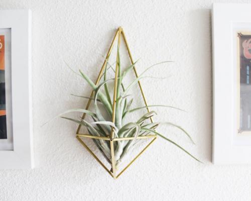 HEMLEVA | THE WALL SCONCE | AIR PLANT HOLDER (壁掛け鉢) | プラントホルダー【北欧 ヒンメリ フラワー エアプラント】のサムネイル
