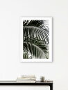【SALE セール】NOUROM | PALM LEAVES #2 | A3 アートプリント/ポスター【北欧 シンプル ミニマル インテリア おしゃれ】