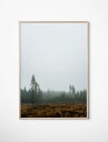 FINE LITTLE DAY | SKOG POSTER | アートプリント / ポスター (70x100cm)【 北欧 インテリア リビング スウェーデン ...