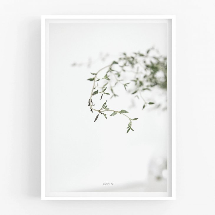 MICUSH | THYME PHOTOGRAPHY PRINT (AP082) | アートプリント/ポスター (30x40cm)