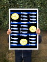 ANEK | SARDINES & LEMON | A[gvg/|X^[ (50x70cm)yk JtF Xg CeA z