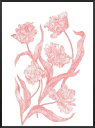【SALE セール】PROJECT NORD | WILD TULIP (by Dieu-Mi Hoang) | アートプリント/ポスター (50x70cm)【北欧 デンマーク ボタニカル】