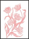 楽天北欧雑貨と音楽 HAFEN ハーフェン【SALE セール】PROJECT NORD | WILD TULIP （by Dieu-Mi Hoang） | アートプリント/ポスター （50x70cm）【北欧 デンマーク ボタニカル】