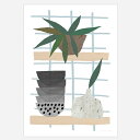【SALE セール】SEVENTY TREE | SHELF LIFE | A4 アートプリント/ポスター