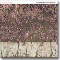 BRITTLE STARS / OCCASIONAL APPEARANCE (CD)