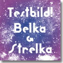 スウェーデン・マルメの独創的なポップ集団、Testbild!のニューアルバム『Belka & Strelka』が今回も[kalligrammofon]からの限定249枚にてリリース。Space Dogsをテーマにし、ヴィンテージ・シンセやコラージュをさらに多用しながら、要所要所でThe Ocean Tangoのような柔らかなソフトロック・ナンバーも織り交ぜ、意図された宇宙空間をイメージさせるようなコンセプト・アルバムを完成させています。 商品詳細 FORMAT &nbsp;LP 製造国 &nbsp;SWE リリース年 &nbsp;2015 コンディション(盤/ジャケット) &nbsp;新品/新品 配送方法 &nbsp;宅配便 備考 &nbsp;- ★在庫の無い商品、異なるフォーマットにつきましてはお取り寄せ可能な場合もございます。お気軽にお問い合せください。関連商品ALEX NAPPING / MISE EN PLACE (LP)STAR TROPICS / LOST WORLD (LP)2,638円2,640円IMPOSSIBLE TYMES / POPADELIC (LP) レ...PEEL DREAM MAGAZINE / MORAL PANICS ...2,640円2,640円NUMCHA / BLOOM (CD)【SALE セール】U.S. GIRLS / BLESS THIS M...2,640円2,670円