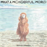 【SALE セール】堀込泰行 / WHAT A WONDERFUL WORLD (LP) レコード アナログ