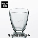 【ラッピング無料】【名入れ代込み】てびねり フリーカップL 255ml名前 名入れ 彫刻 刻印 名入れギフト プレゼント 誕生日 記念日 記念品 受賞 お祝い ノベルティ 引越祝 父の日 母の日 長寿祝 敬老の日 還暦祝 お茶 冷茶 グラス タンブラー ガラス 日本製 食洗機対応