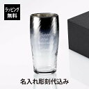 【ラッピング無料】【名入れ代込み】PROGRESS プログレス Ripple Silver ビアグラス 360ml名入れ 彫刻 刻印 名入れギフト プレゼント 記念日 記念品 お祝い 誕生日 誕生祝い 引越祝い 父の日 還暦祝い 敬老の日 退職祝い 高級 ブランド 正規品 おしゃれ 焼酎 チタン加工